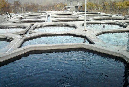 پرورش ماهی در استخرهای ذخیره آب کشاورزی توسعه می‌یابد
