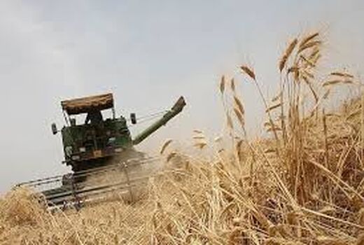 پرداخت 890 میلیارد ریال وجه گندم‌کاران خرمشهری