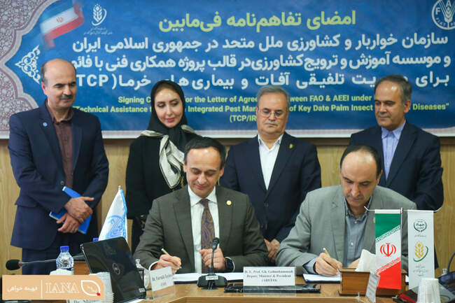 تفاهم‌نامه همکاری برای مدیریت تلفیقی آفات و بیماری‌های خرما امضا شد