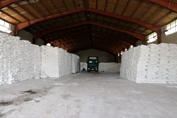 توزیع بیش از پمچ هزار تن کود یارانه‌ای بین کشاورزان آذربایجان غربی