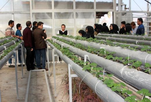  کلاس درس دانشجوی کشاورزی، مزرعه است