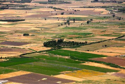 ۱۲۰هزار هکتار از اراضی زراعی و باغی چهارمحال و بختیاری تحت پوشش بیمه کشاورزی قرار گرفت