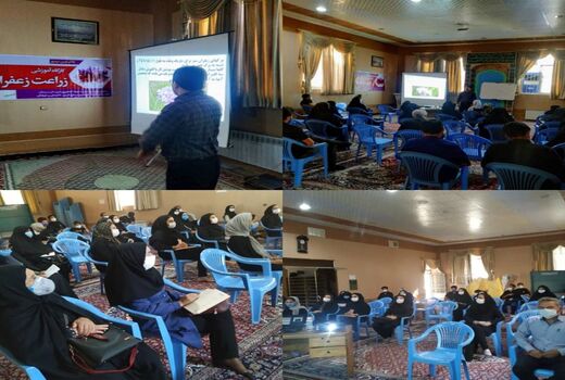 برگزاری کارگاه آموزشی و توجیهی جهت زنان روستایی در شهرستان سیرجان