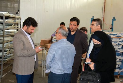 بازگشت کارخانه‌ها وتولیدی‌های غیر فعال و نیمه فعال به چرخه تولید 