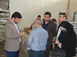 بازگشت کارخانه‌ها وتولیدی‌های غیر فعال و نیمه فعال به چرخه تولید 