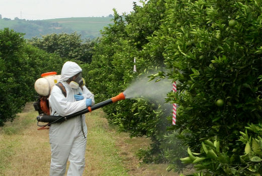 ممنوعیت استفاده از سم استامی پراید در باغات پسته از اول تیرماه 