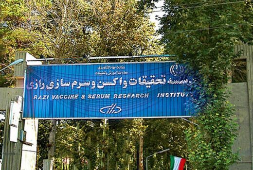 ورود خسارت به موسسه رازی به دلیل تاخیر شهرداری