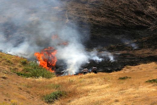 کاهش ۹۷ درصدی وقوع حریق در جنگل ها و مراتع ایلام