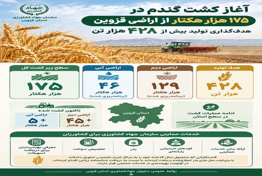 آغاز کشت گندم در استان قزوین