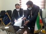  همکاری مشترک بین مدیریت هماهنگی ترویج کشاورزی و سازمان بسیج سازندگی سپاه امیرالمومنین استان ایلام