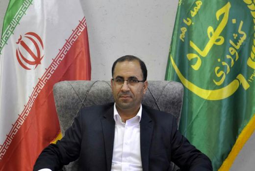 استان لرستان به‌عنوان قطب و پایلوت توسعه گیاهان دارویی کشور خواهد شد