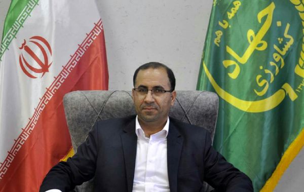 استان لرستان به‌عنوان قطب و پایلوت توسعه گیاهان دارویی کشور خواهد شد