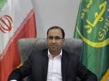 استان لرستان به‌عنوان قطب و پایلوت توسعه گیاهان دارویی کشور خواهد شد