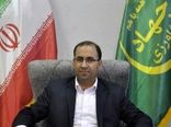 استان لرستان به‌عنوان قطب و پایلوت توسعه گیاهان دارویی کشور خواهد شد