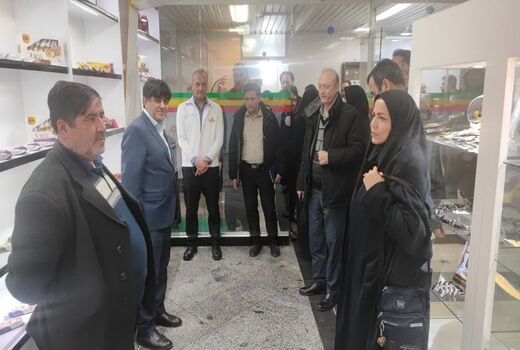 بازدید معاونین توسعه مدیریت و منابع دستگاه های اجرایی استان از توانمندیهای بخش کشاورزی شهرستان شبستر