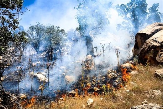 مهار آتش‌سوزی در جنگل های بلوط دامنه زردکوه بختیاری