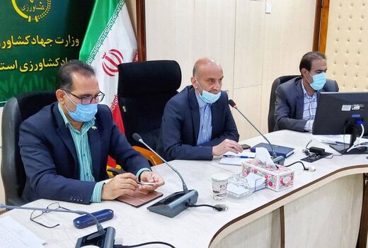 ضرورت بیمه محصولات کشاورزی با توجه به شرایط اقلیمی کشور 