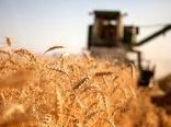 مطالبات گندم کاران در انتظار تامین اعتبار