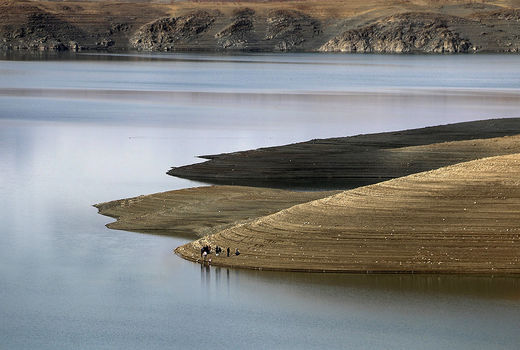 جمع‌آوری بیش از ۴۰۰۰ متر دام از سد زاینده‌رود