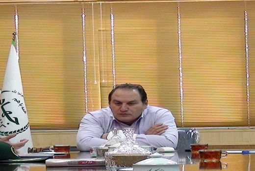 27 میلیون شاخه گل نرگس در استان ایلام تولید میشود.