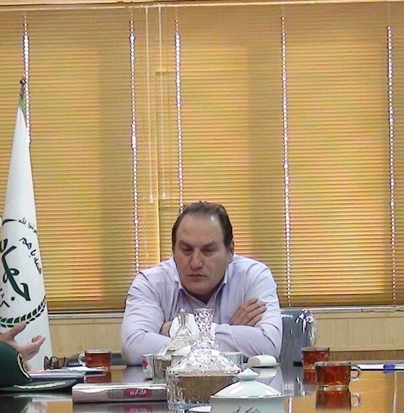 27 میلیون شاخه گل نرگس در استان ایلام تولید میشود.