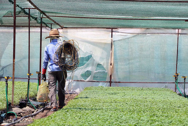 توصیه های کشاورزی برای شرایط اقلیمی و تغییرات آب و هوایی مناطق مختلف کشور