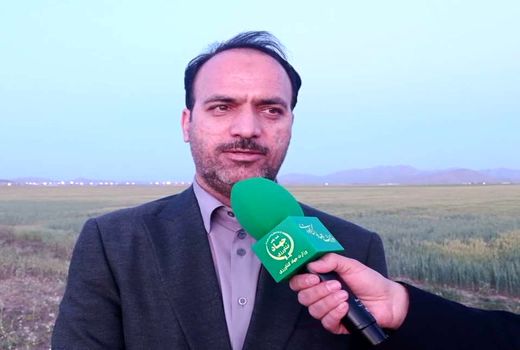 استان مرکزی پیشرو در تولید آرد کامل در کشور است/ تولید سالانه ۱۳۰ هزار تن آرد یارانه‌دار