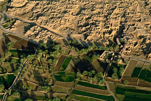 زمین‌های کشاورزی در طرود استان سمنان