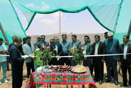 سه گلخانه تابع اقلیم در استان فارس به بهره‌برداری رسید   