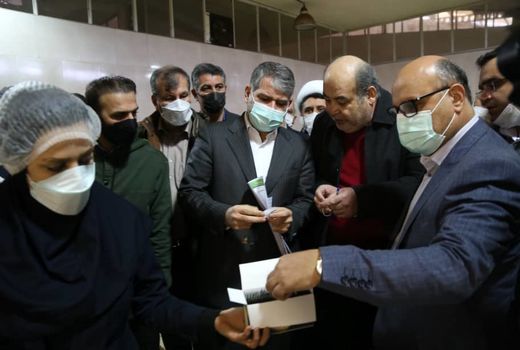 اعتبار ۷۵ میلیارد تومانی برای نوسازی و جوان سازی باغات چای