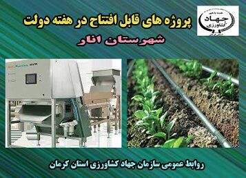 سه طرح کشاورزی شهرستان انار در هفته دولت به بهره برداری می رسد