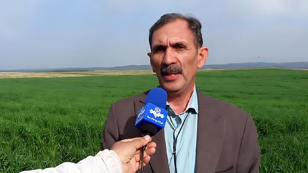 سیستم حفاظهای بارانی راهکار مناسب گزینش ارقام مقاوم به خشکی جهت مقابله با تغییرات اقلیمی