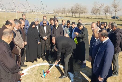بازدید استاندار قزوین از یک واحد تولید نشا، سبزی و صیفی در شهرستان آبیک