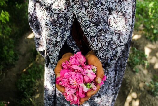ایجاد خط اعتباری سرمایه در گردش برای صنوف گل و گیاهان زینتی 