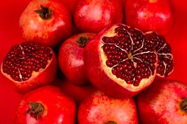افتتاح اولین کارگاه دانه گیر انار در بیضا