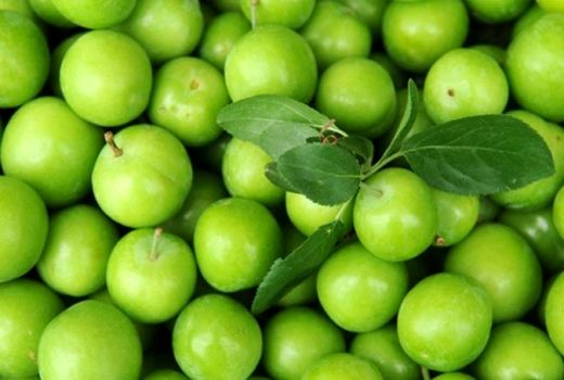 6400 تن گوجه سبز در بابل تولید شد