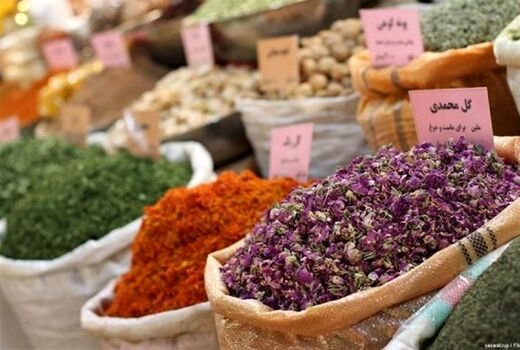 دانش بومی کاشت گیاهان دارویی ثبت ملی شد
