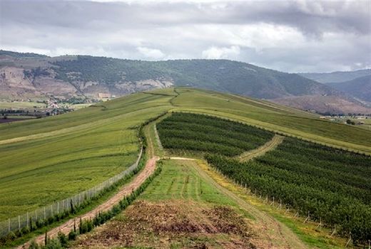 18درصد اعتبارات اراضی شیب دار کشور در اختیار استان چهارمحال و بختیاری