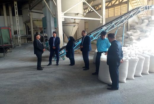 گشت مشترک جهاد کشاورزی از کارخانه های آرد استان قزوین