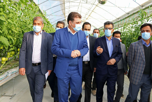 فاز چهارم طرح 20 هکتاری گلخانه بنیاد با  40 درصد پیشرفت فیزیکی 