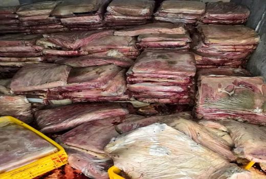 معدوم سازی 4208 کیلوگرم خمیر مرغ به علت آلودگی سالمونلایی