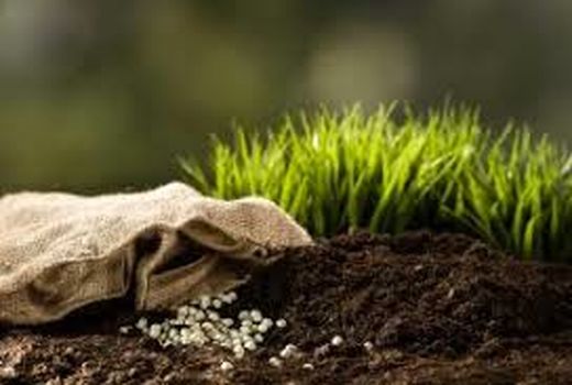 عملیات تغذیه با کود سرک در مزارع کشاورزی شهرستان البرز آغاز شد