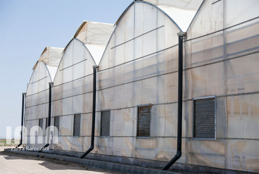 گلخانه سبزی و صیفی در  شهرستان داراب افتتاح شد