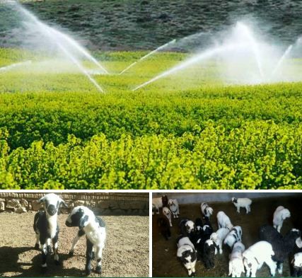 بهره برداری از دو طرح بخش کشاورزی در شهرستان لردگان