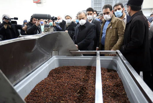  افتتاح طرح تولیدی فرآوری کشمش در شهرستان بناب با حضور وزیر صمت