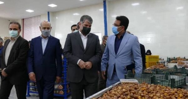 بازدید وزیر جهاد کشاورزی از طرح بسته‌بندی خرما در تنگستان