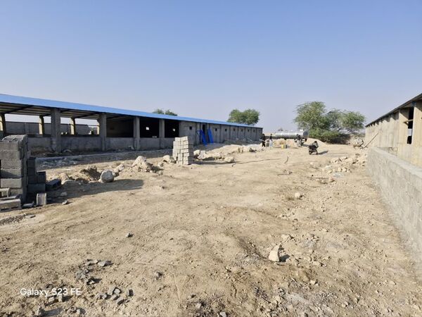 بازدید از ۱۰ طرح دارای مجوز تغییر کاربری در دشتستان