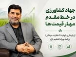 از پایداری تولید تا نظارت بر بازار؛ برنامه جهاد کشاورزی برای مهار قیمت‌ها