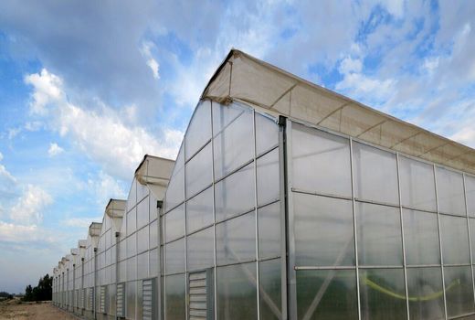  فعالیت‌های گلخانه‌ای در اردستان حمایت شوند