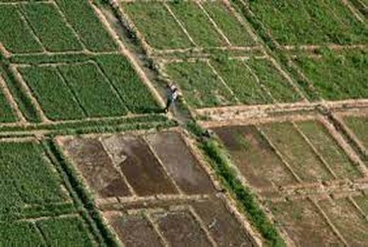 بررسی پرونده‌های واگذاری زمین به طرح‌های وابسته به کشاورزی و غیر کشاورزی خوزستان
